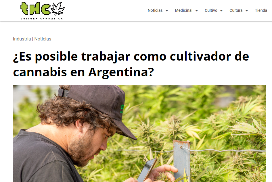 Entrevista en Revista THC