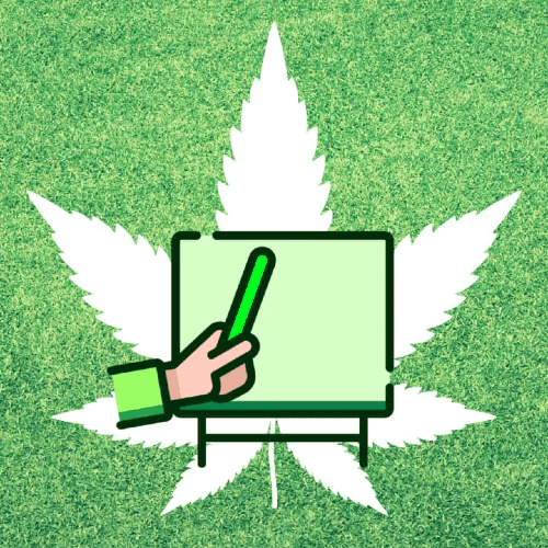 cursos de autocultivo de cannabis medicinal