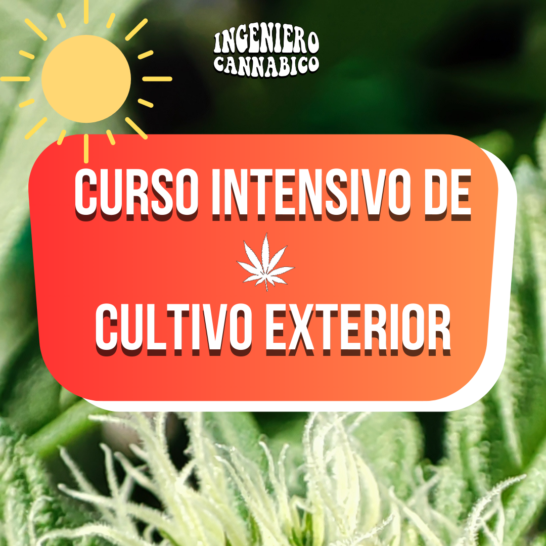 Cursos de Autocultivo