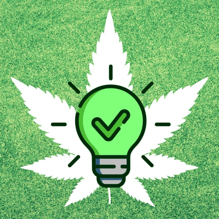 desarrollo de proyectos sobre autocultivo de cannabis