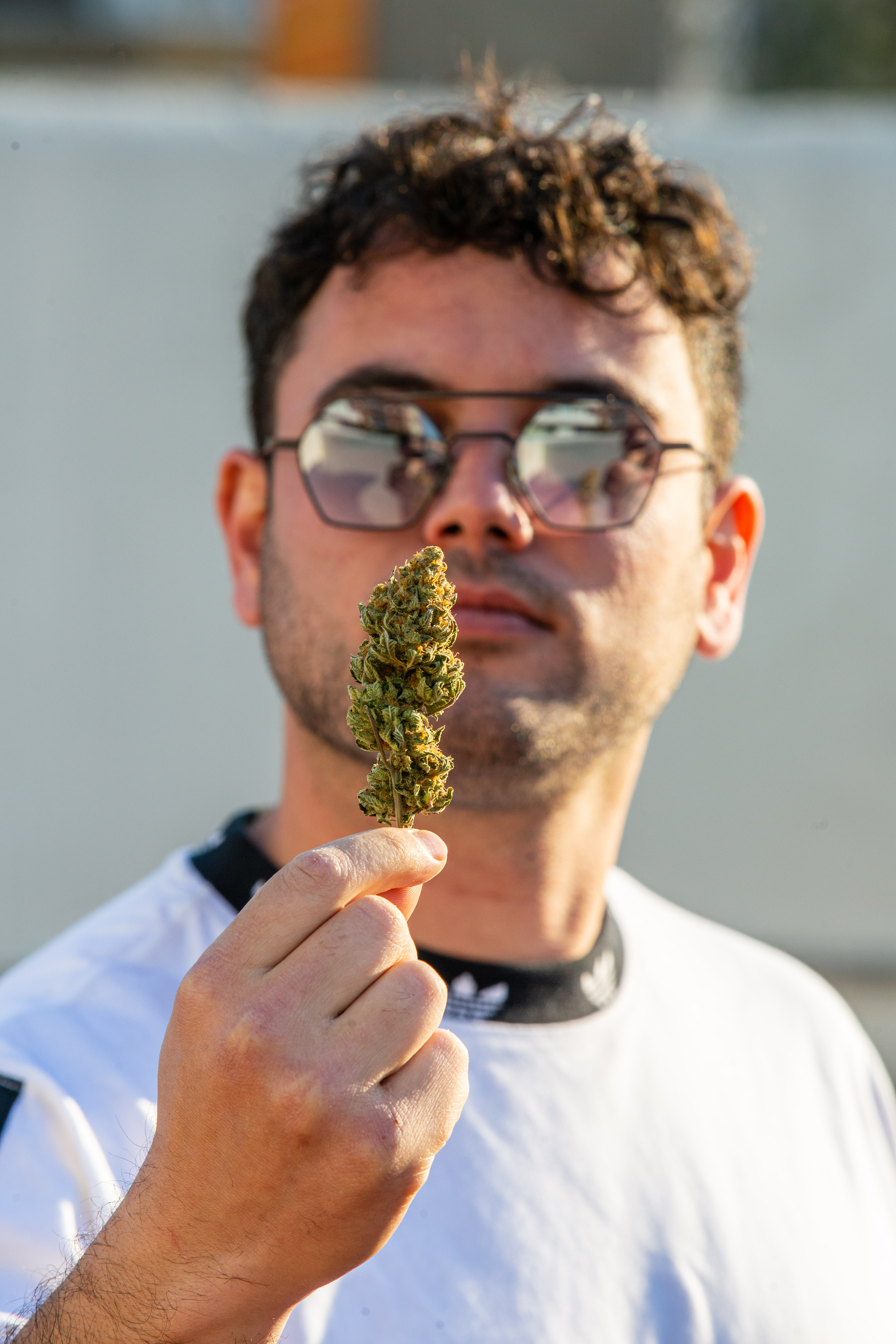 Ingeniero Agrónomo Rodrigo Maltz